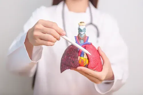 What is the Aorta and What Conditions Necessitate Surgery?